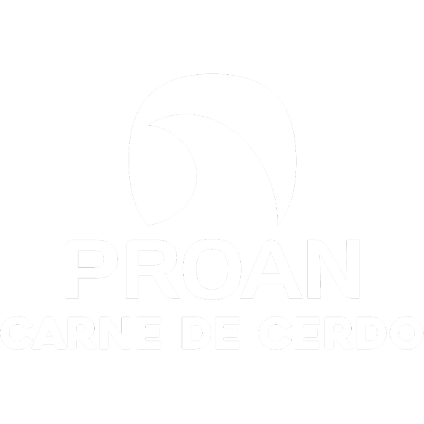 LOGOS_PATROCINADORES-03 1