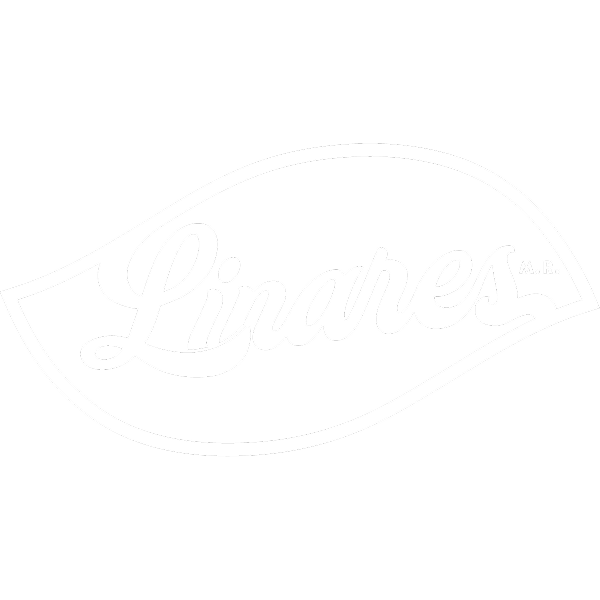 LOGOS_PATROCINADORES-16 1